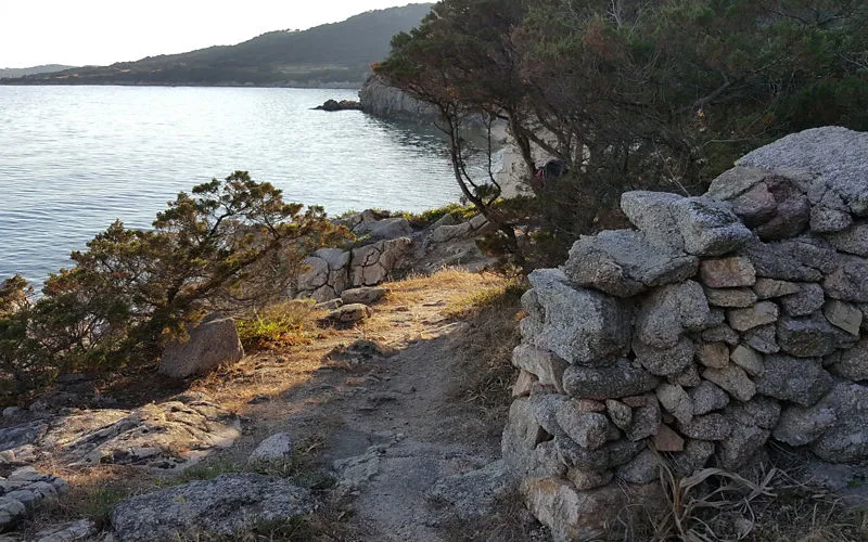 Sentieri di granito e vento: la guida ai trail running nel sassarese per chi vuole uscire dall'asfalto